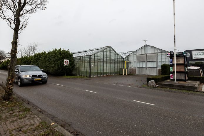 Aan de Hoge Geest in Naaldwijk, op de plek waar nu nog een kas staat, moeten 228 arbeidsmigranten gehuisvest worden.
