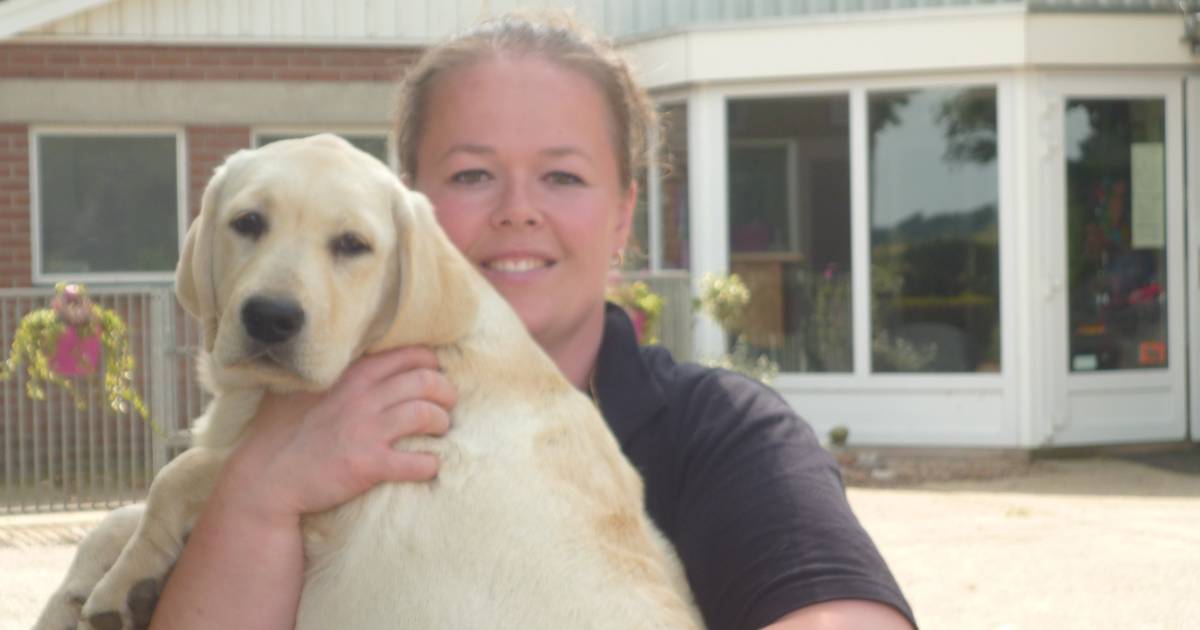 Hondenkennel Macharen: na boosheid nu blijheid over bereikbaarheid