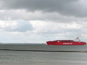 ‘Sprieten’ langs de Scheldekust gaan een belangrijke rol spelen voor scheepvaart