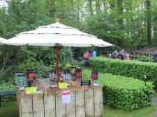 Bloembollendag in Tuinen van Mien Ruys in Dedemsvaart met verkoop en rondleidingen
