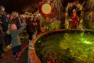 Volle bak bij kerstshow tuincentrum Avri: ‘Gouden versiering en rookworstballen zijn populair’