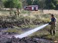 Bij een heidebrand aan de Erica in Best is een deel van het gebied verbrand.