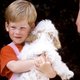 Deze foto's bewijzen dat prins Harry een echte hondenliefhebber is