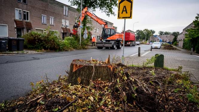 Rechter besluit, huurder die onrust veroorzaakt aan de Zeven Bosjes hoeft woning niet uit