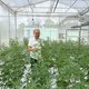 Thuis wiet kweken: in Thailand wordt stapje bij stapje de cannabisindustrie legaal