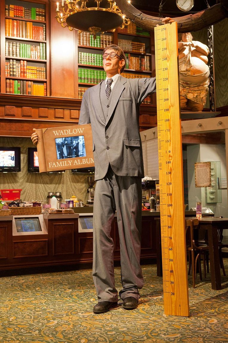 Wassen beeld van Robert Wadlow (1918-1940), met 2,72 meter de langste man ooit. Beeld Ripley Londen