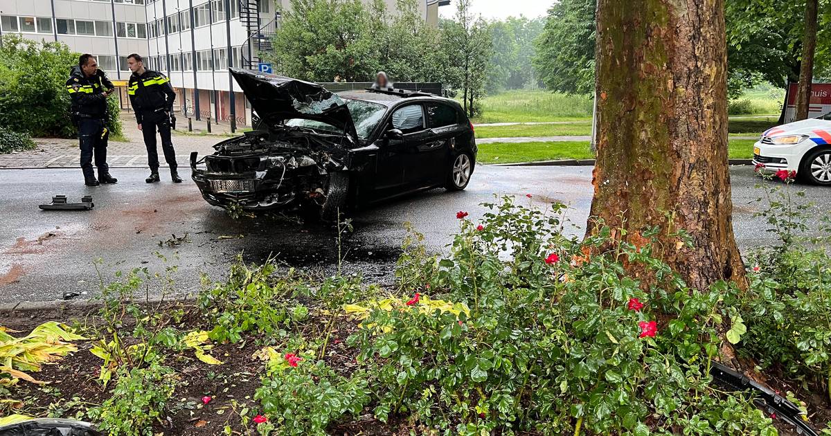 Harde botsing met boom Zutphen: auto flink in de kreukels, inzittenden komen met de schrik vrij.
