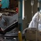 WHO mag eindelijk op zoek naar de bron van het virus: Humo helpt alvast een ontsmet handje