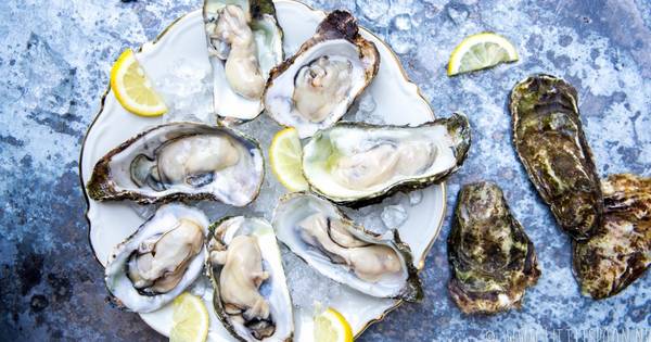 10 x oesters eten in Zeeland | Overig - PZC