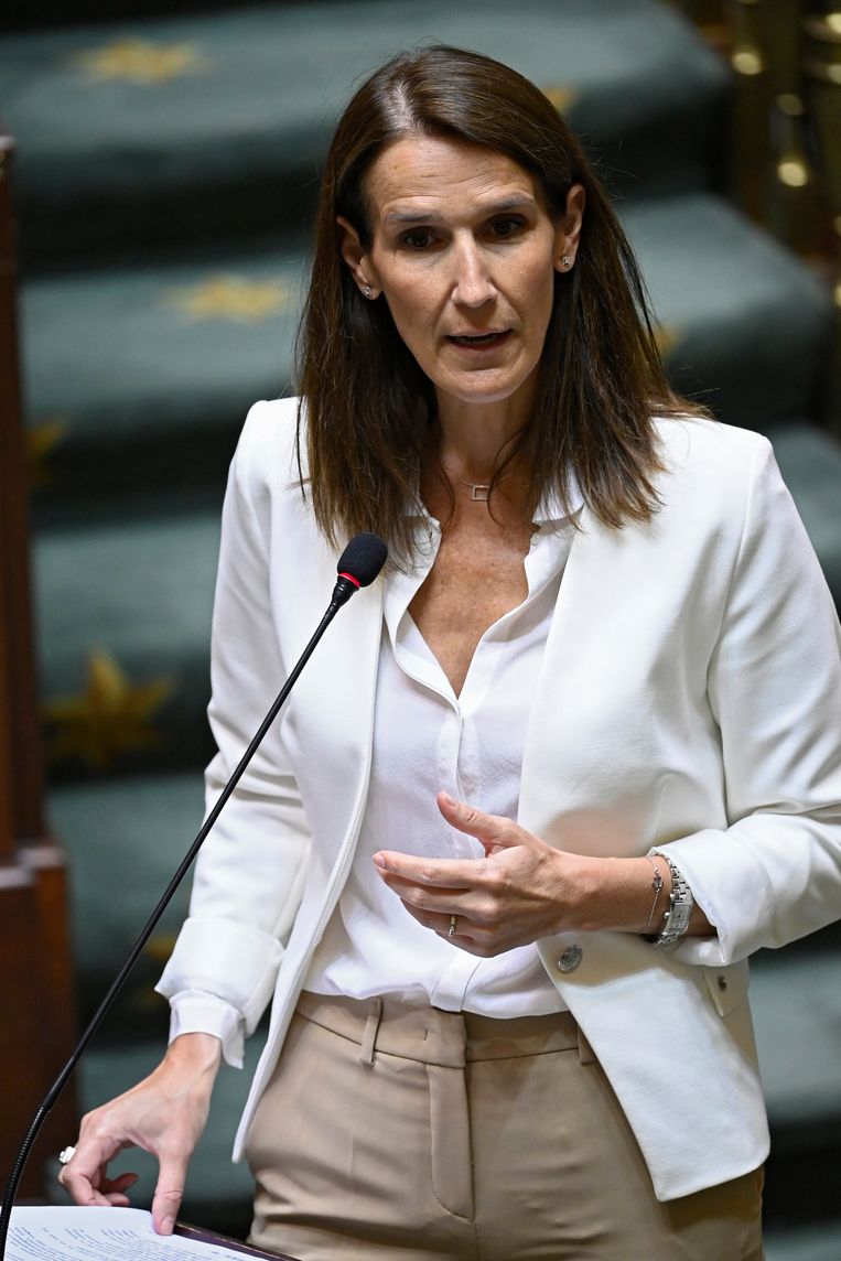 Premier Sophie Wilmès (MR) moest op de inboedel passen na het vertrek van Charles Michel naar Europa, maar amper vier maanden na haar intrek in de Zestien barstte de coronacrisis los. Beeld Photo News