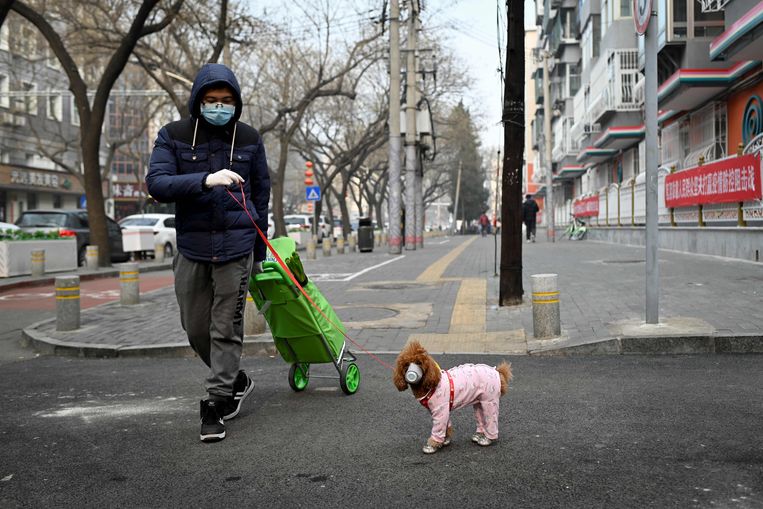 In Beijing draagt mens én dier een mondkapje. Beeld AFP