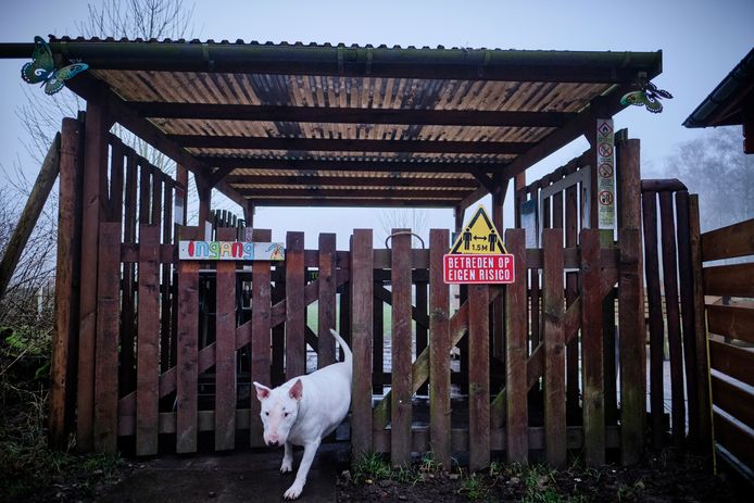 Het slot aan de ingang van de hondenspeeltuin is volgens de bestuursvoorzitter verschillende keren doorgeknipt. Hond Bumper houdt voor de foto de wacht.
