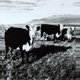 Mark Kozelek - The Finally LP