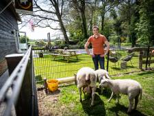 Boer Huub (30) ontvangt volop toeristen op zijn erf in Weerselo: ‘Stel uit Rotterdam had nog nooit boerderij gezien’