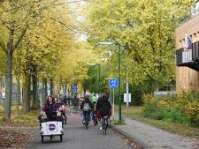 Op deze plekken in Houten kan er wél gebouwd worden zonder weerstand van bewoners