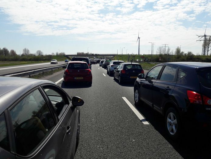 De file ter hoogte van de Hoeksche Waard