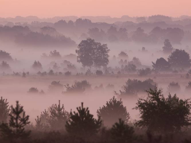Nevel, grondmist en opklaringen in Oudenaarde vandaag