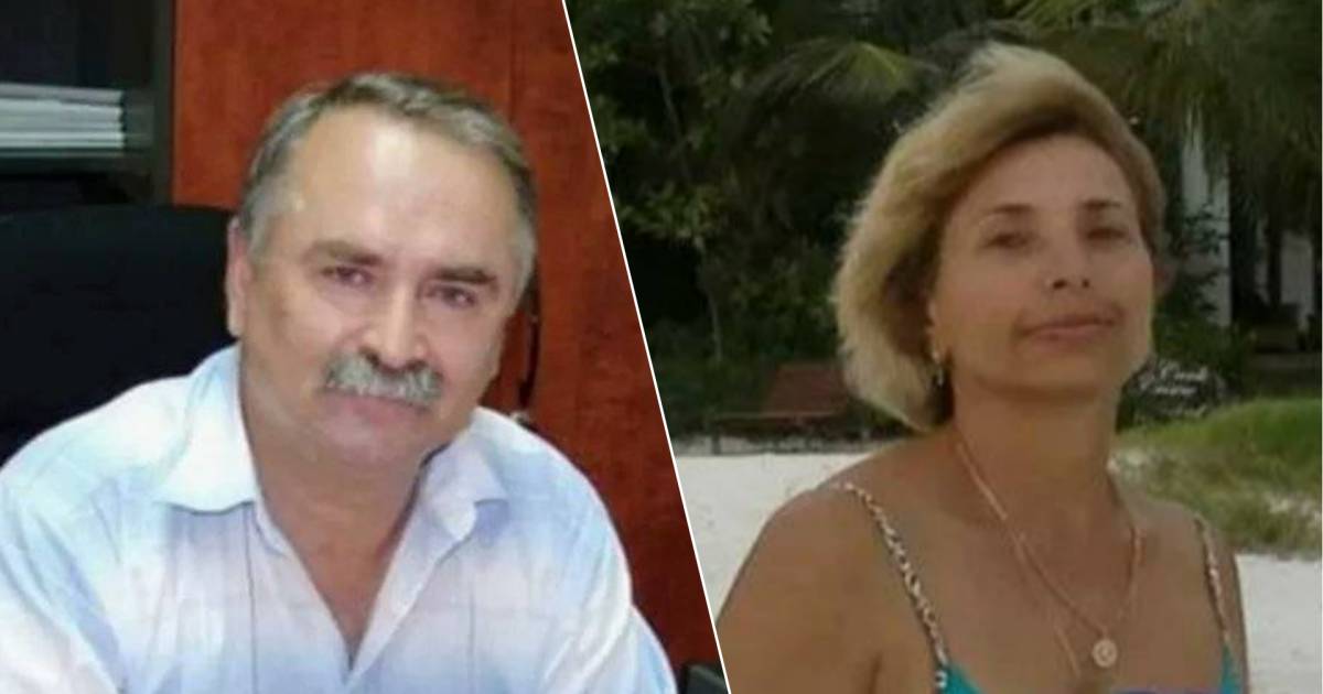 Mysterious crash of a Russian private plane: A 65-year-old millionaire and a 64-year-old woman die after “engine problems” |  outside