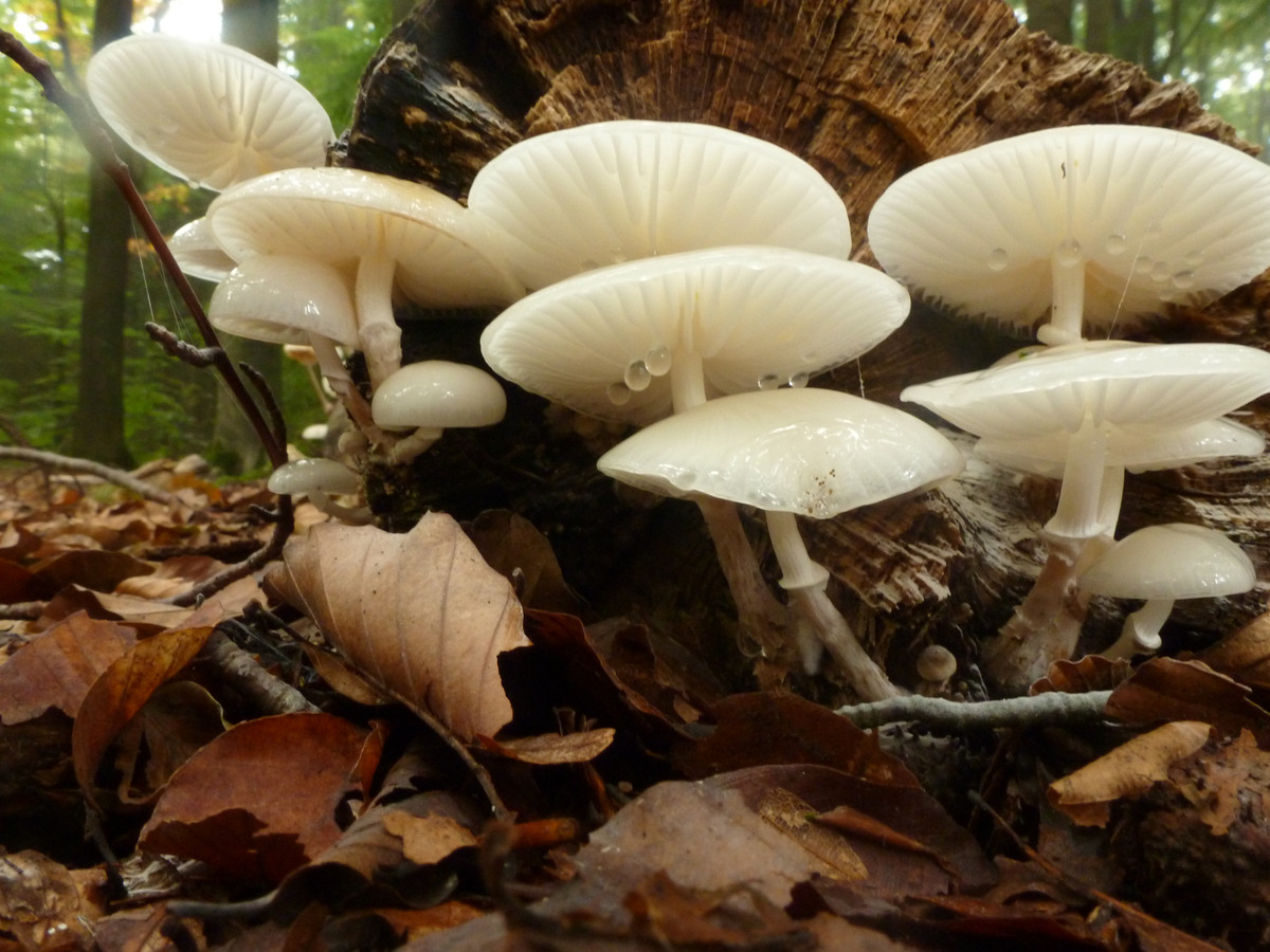 Miriam Guensberg en Bram Bakker praten over ‘oud zeer’ Foto AD.nl