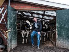 Boer Thijs heeft volop begrip voor ontspoorde acties: ‘Weghalen van vlaggen is verraad van boeren’