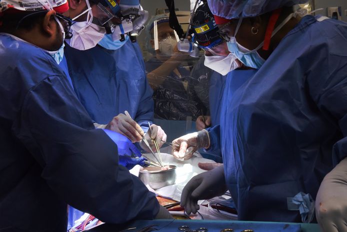 Sur cette photo fournie par l'école de médecine de l'Université du Maryland, les membres de l'équipe chirurgicale effectuent la transplantation d'un cœur de porc sur le patient David Bennett à Baltimore le vendredi 7 janvier 2022.