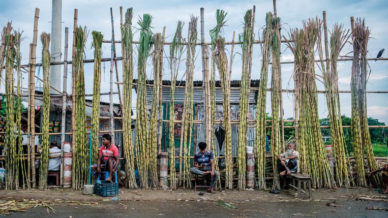 Bamboeverkopers langs de weg in Daulatkandi, Bangladesh. Beeld Patrick Post