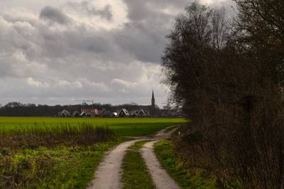 Nu nog weide straks woonwijkje: groen licht voor bouw starterswoningen in Vasse