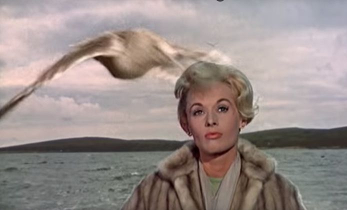 Scène uit de Hitchcock-klassieker 'The Birds’ (1963): een zeemeeuw valt hoofdrolspeelster Tippi Hedren aan.