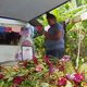 Vaccinatieangst op Samoa: aantal mazelendoden stijgt naar 53