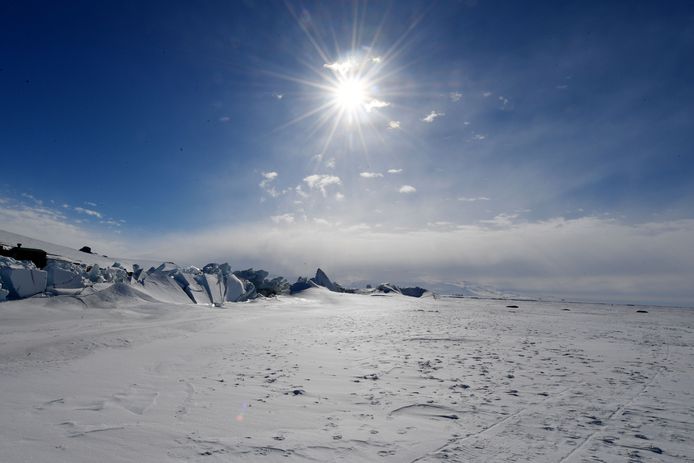 Vandaag bestaat Antarctica uit sneeuw en ijs, maar dat was ooit anders.