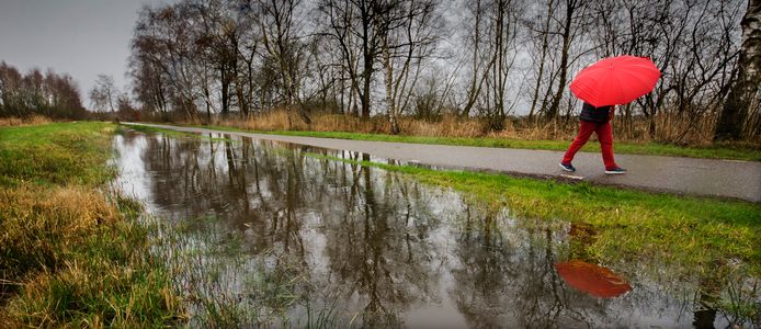 Alleen in geval van ernstige regenval, zoals hier, is het waterpeil in de Bossche Broek hoog genoeg.