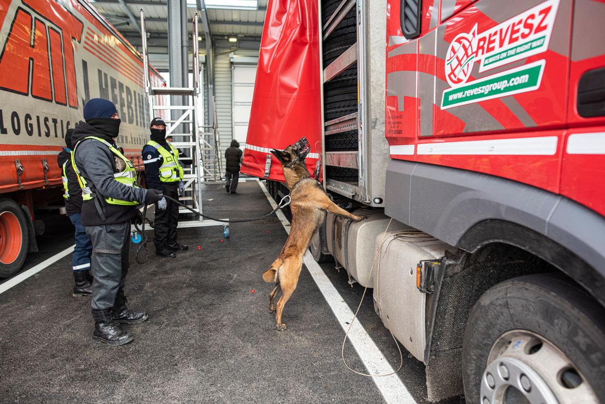 Een hond gespecialiseerd in reuk heeft in de pitstop in Calais een meereizende migrant ontdekt.