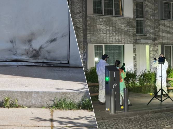 “‘Mama, ons huis gaat kapot’, snikte mijn dochtertje”: vuurwerkbom schrikt Vuurwerkstraat in Deurne op