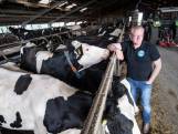 Boer Arjan (43) dreigt zijn ruim 100 koeien kwijt te raken, maar dat laat hij niet zomaar gebeuren