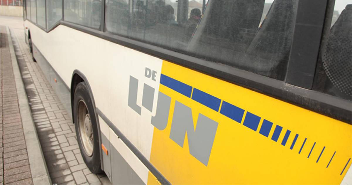 Whitney puzzel Wat leuk De Lijn zet extra bussen in voor Aalst Carnaval | Binnenland | hln.be