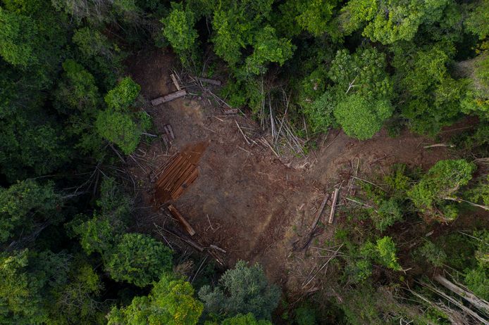 Ontbossing in het Amazonewoud.