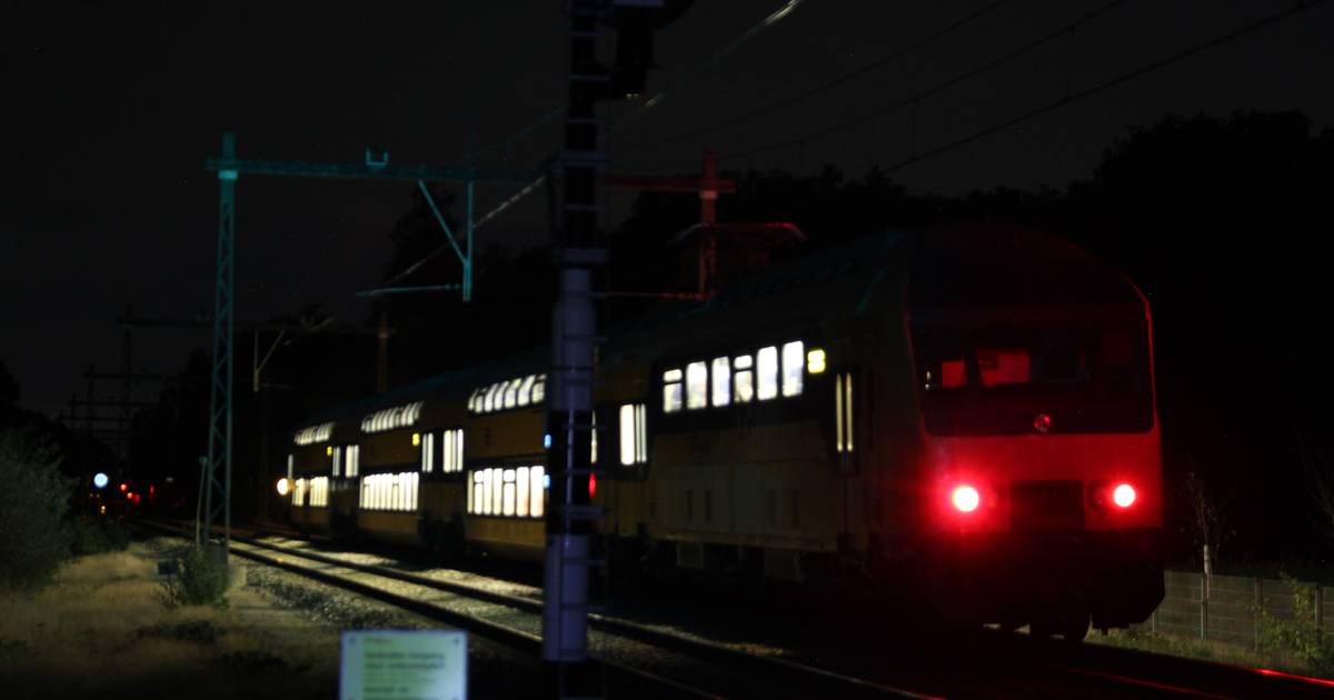 Treinen tussen Wierden en Rijssen rijden weer na aanrijding met ree.