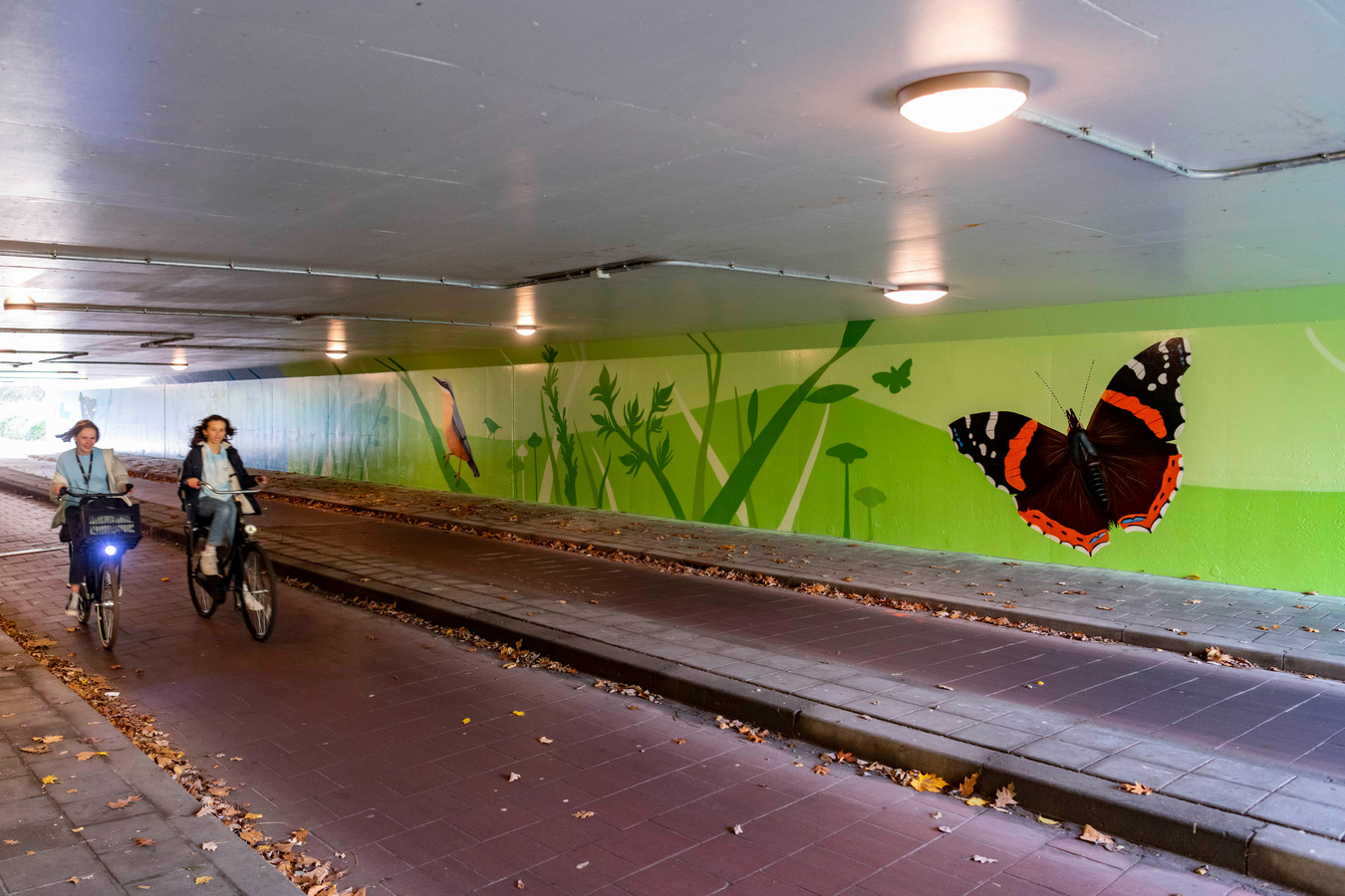 De Von Webertunnel werd door Joep van Gassel van voor tot achter van graffiti voorzien.