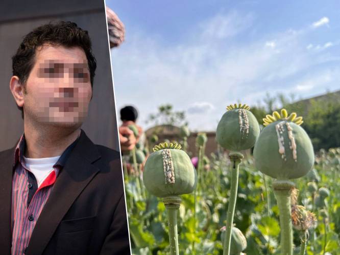 “In uw thuisland zou men u ophangen aan de hoogste boom”: Roeselaarse opiumbende ook in beroep veroordeeld, maar mildere straf voor bendeleider