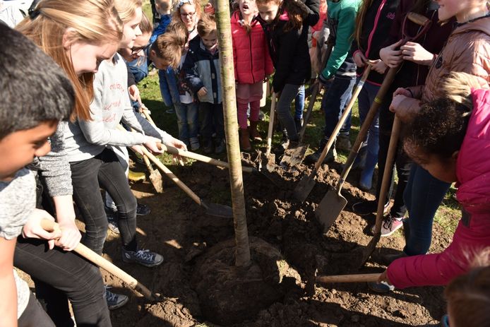 Boomplantdag in Arnhem.