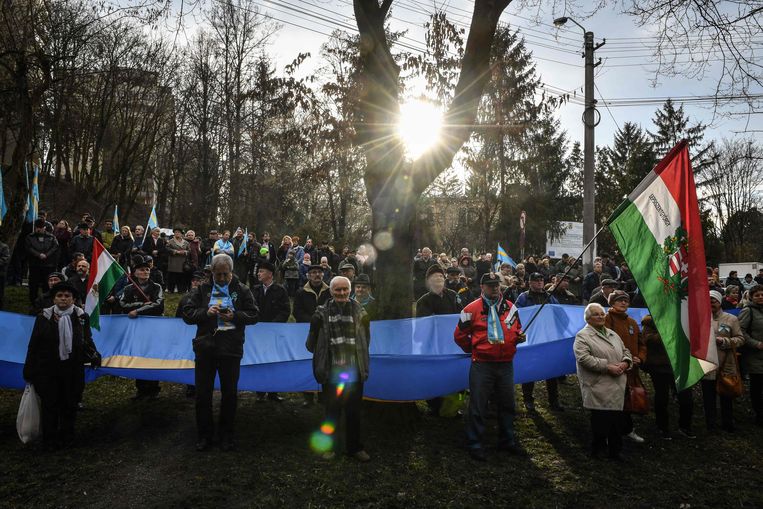 In maart liepen ongeveer drieduizend Roemeense Hongaren in Targu Mures mee in demonstratie voor meer autonomie voor Szeklerland. Beeld ANP
