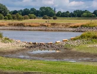 Rijkswaterstaat mikt op flexibele drempels in nevengeulen tegen verdroging riviernatuur