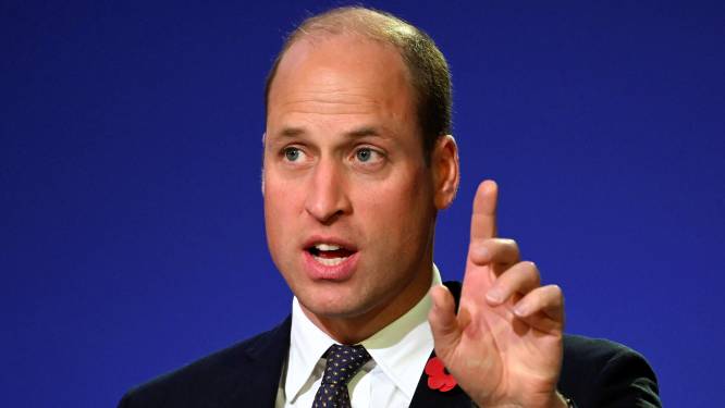 Britse media zeggen sorry voor verkeerd citeren van prins William