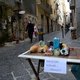 Bellen met onze correspondent in Rome: ‘We wandelen op het dak. Het lijkt toch een beetje op een gevangenisregime’