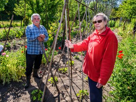 20.000 euro boete dreigt voor Bruno (74) en Marianne (73): hun volkstuintje is een puinhoop