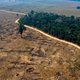 Neerwaartse spiraal in de Amazone: ontbossing betekent minder regen, en dus minder bomen