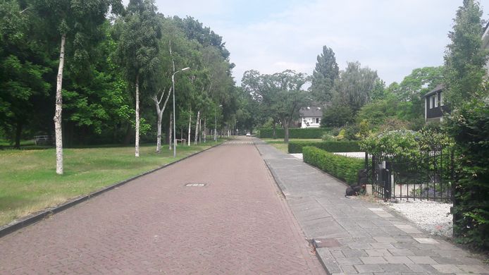 De Coornhertstraat in de Bossche wijk Zuid, nu alleen voor vergunninghouders. Bewoners vrezen vreemdparkeren in de weekeinden door té goedkope tarieven.