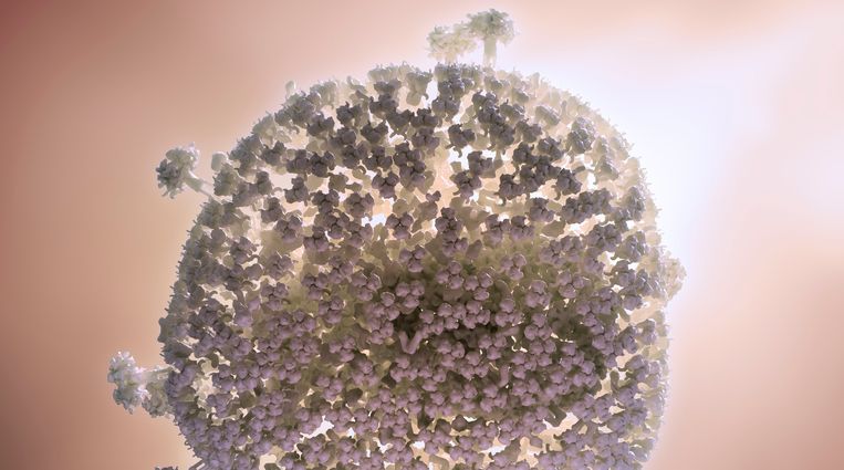 Het hiv-virus. Beeld Getty Images