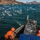 Opwarming van de oceanen maakt vissen kleiner en minder mobiel