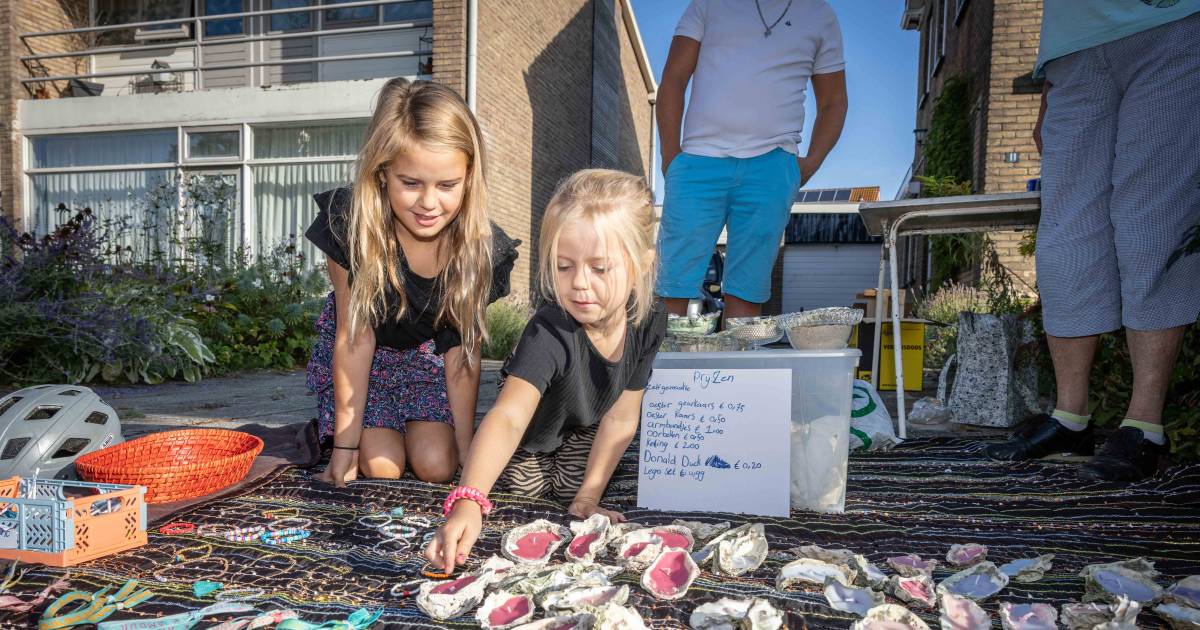 Rommelroute in Wemeldinge: 170 kraampjes door heel het dorp en daardoor toch niet superdruk